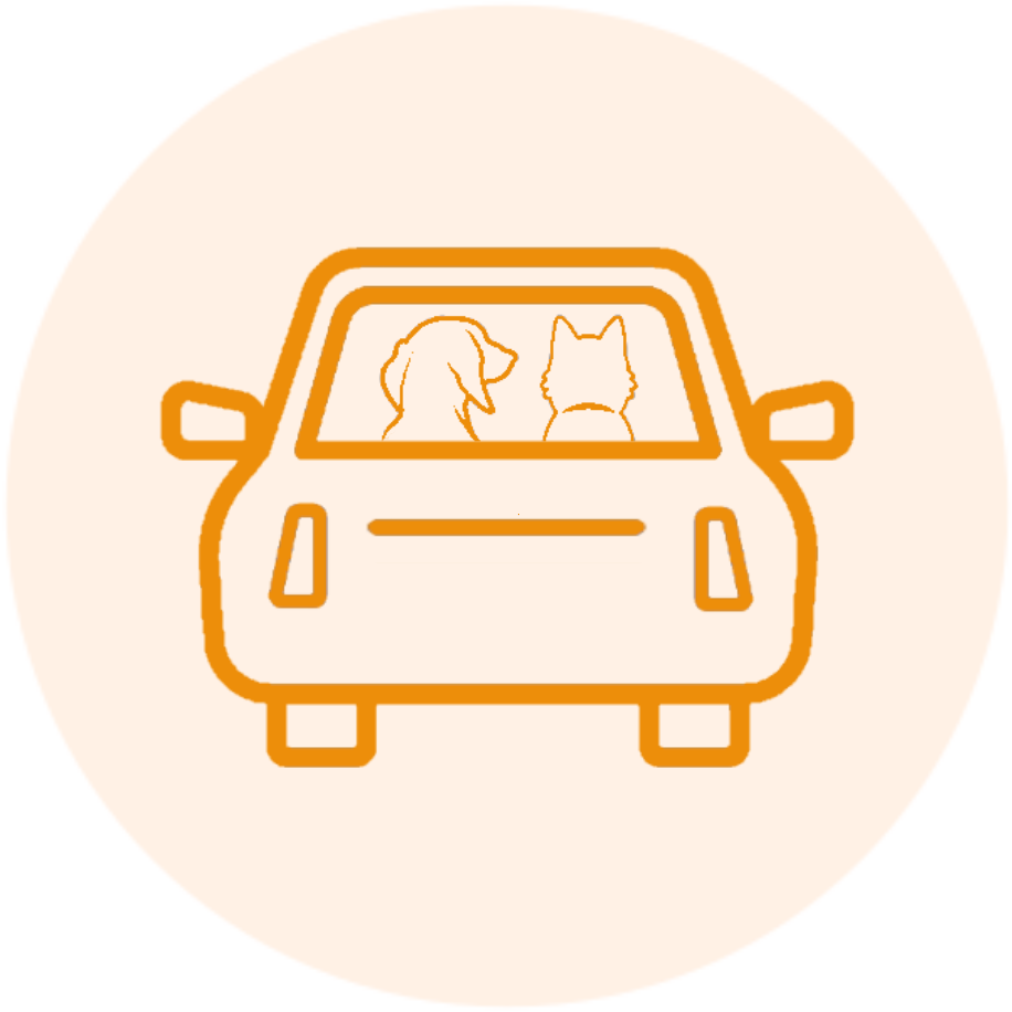TAXI POUR ANIMAUX CHIEN ET CHAT